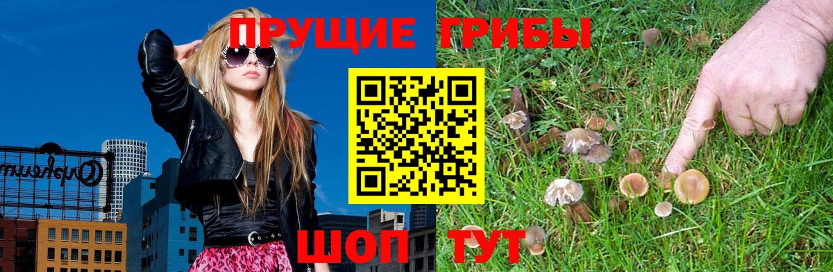 Ишимбай  Псилоцибиновые грибы Magic Shrooms  Псилоцибиновые грибы Psilocybine cubensis  Вход с VPN 